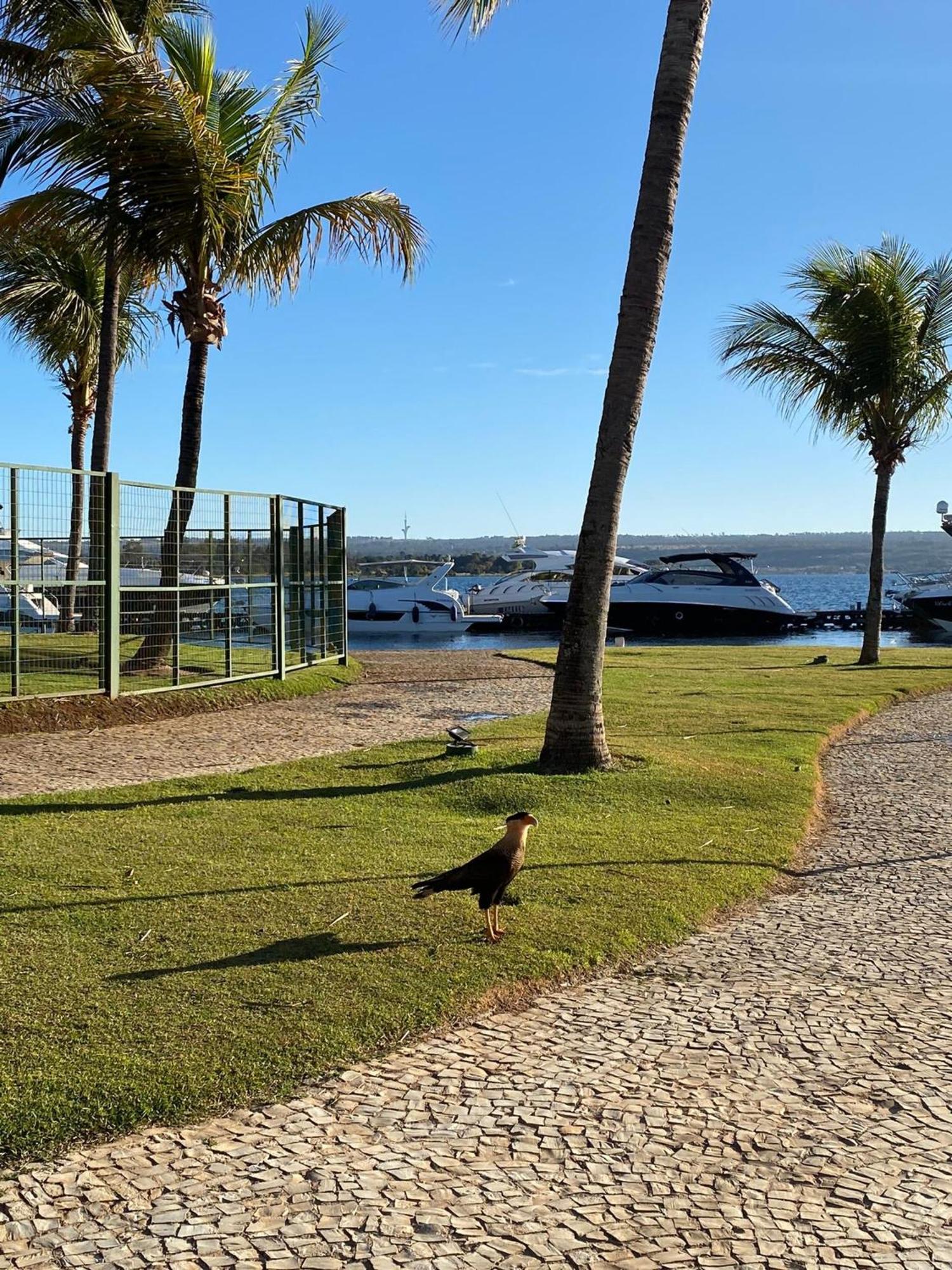 Flat Beira Lago No Centro De Bsb Brasília Eksteriør billede